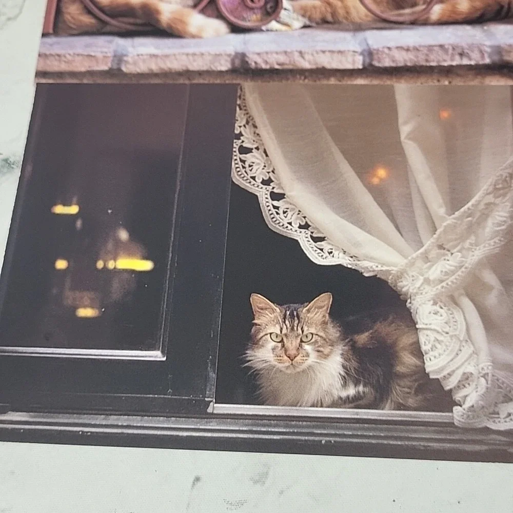 Vintage Oversized Kitty Cat‎ Postcards 7pc Lot #4